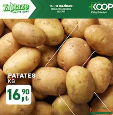 PATATES KG PATATES KG